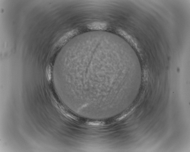 X0000085270069200704092150