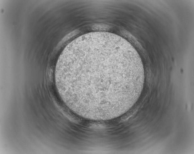 X0000085270071200704092151