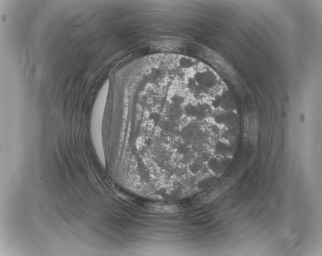 X0000085270073200704092151