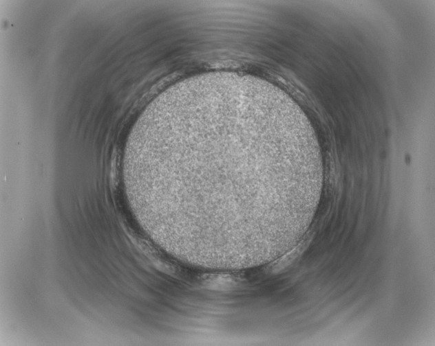 X0000085270074200704092151