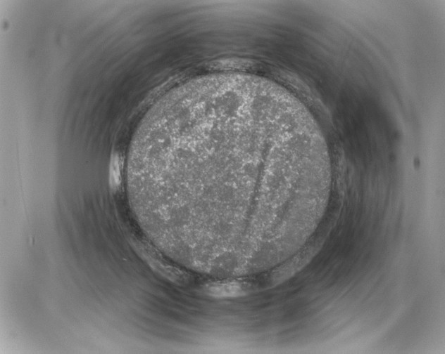 X0000085270075200704092151