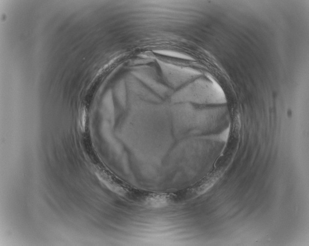 X0000085270076200704092151