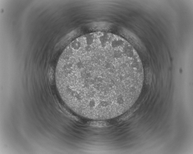 X0000085270077200704092151