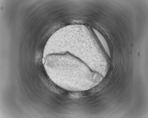 X0000085270079200704092151