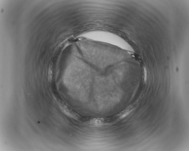 X0000085270080200704092151