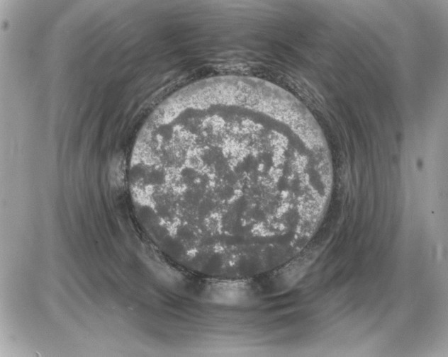 X0000085270081200704092151