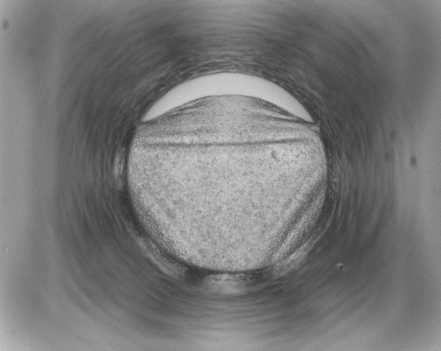 X0000085270082200704092151