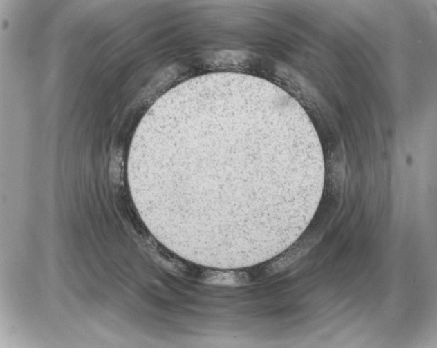 X0000085270083200704092151