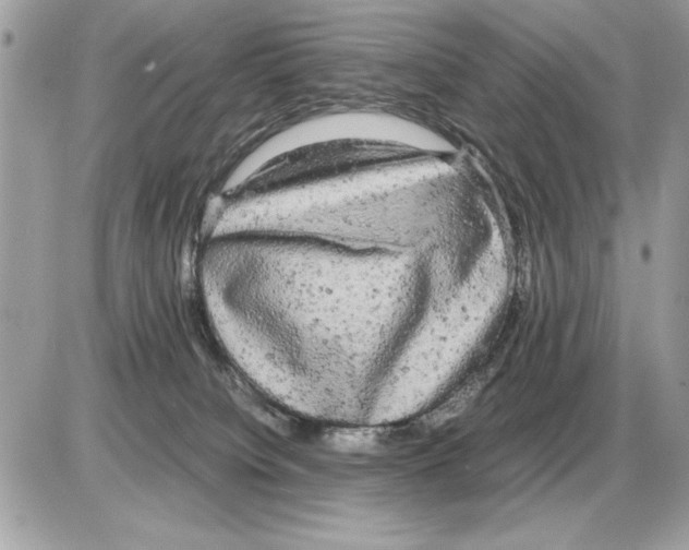 X0000085270084200704092151