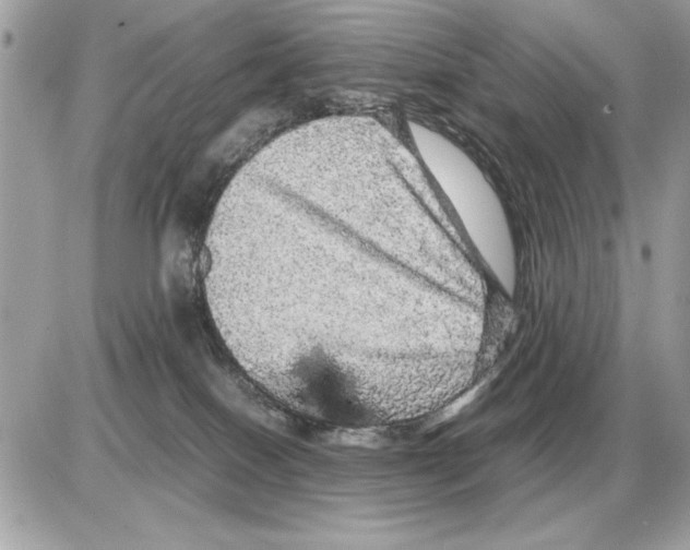 X0000085270086200704092151