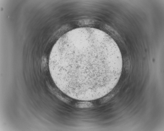 X0000085270087200704092151