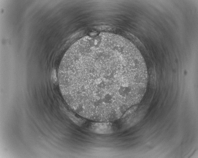 X0000085270089200704092151