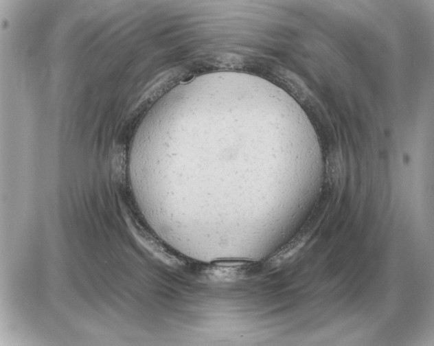 X0000085270092200704092151