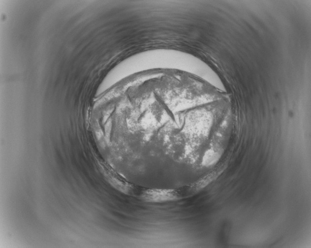 X0000085270093200704092151