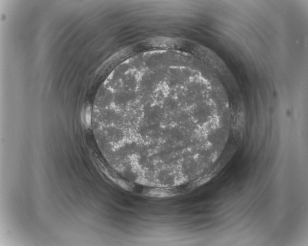 X0000085270095200704092151