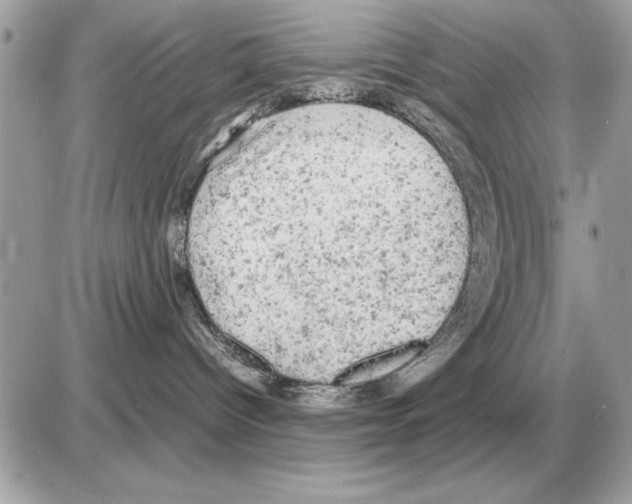 X0000085270096200704092151