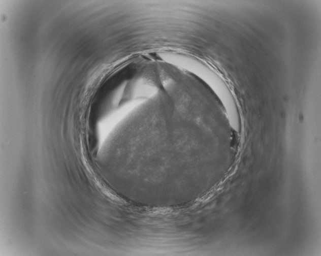 X0000085270097200704092150