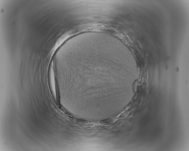 X0000085270099200704092150