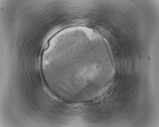 X0000085270100200704092150