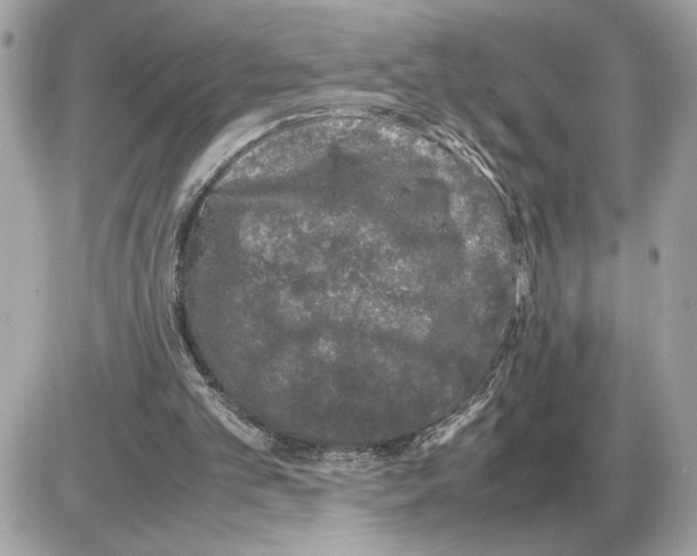 X0000085270101200704092150