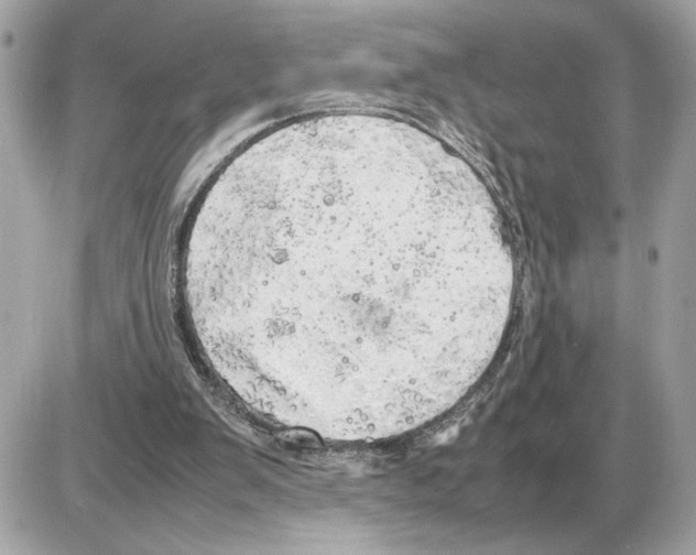 X0000085270103200704092150