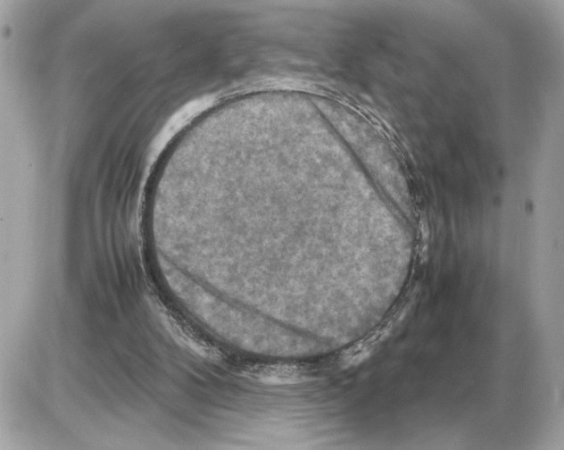 X0000085270104200704092150