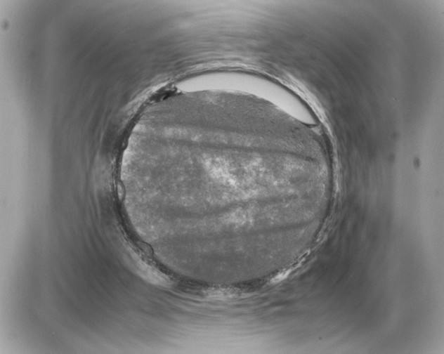 X0000085270105200704092150