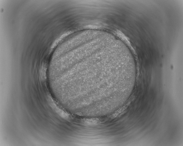 X0000085270106200704092150