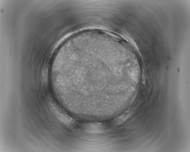 X0000085270108200704092150