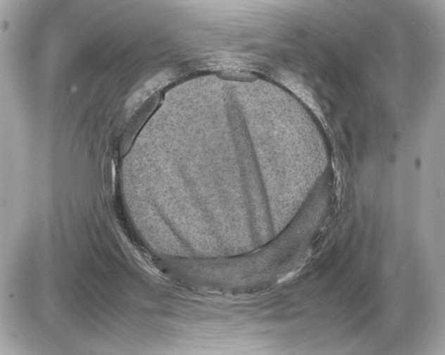 X0000085270109200704092150