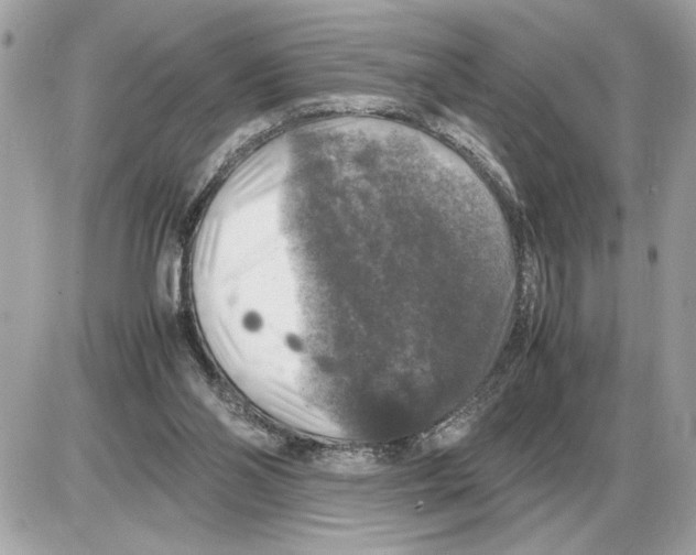 X0000085270110200704092150