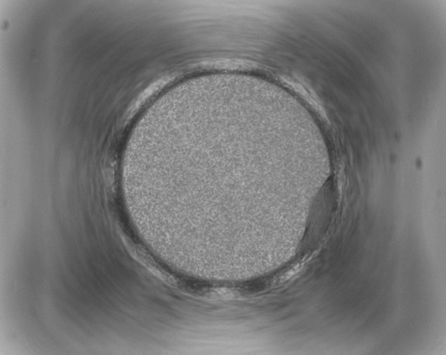 X0000085270111200704092150