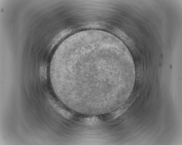 X0000085270112200704092150