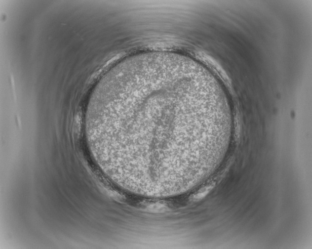 X0000085270113200704092150