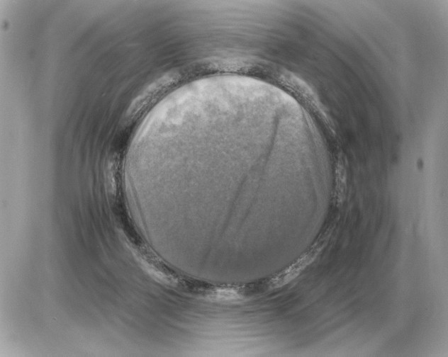 X0000085270114200704092150