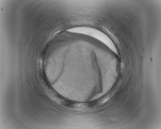 X0000085270117200704092150