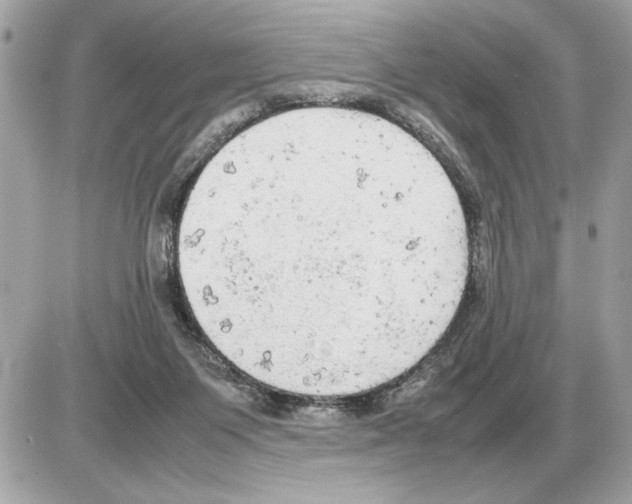 X0000085270119200704092150