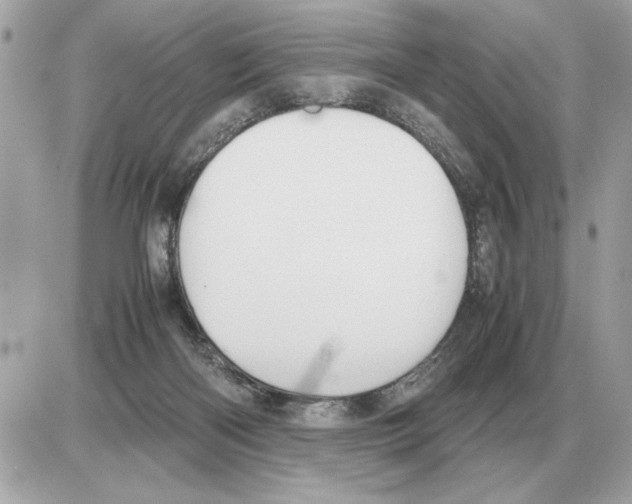 X0000085270122200704092150