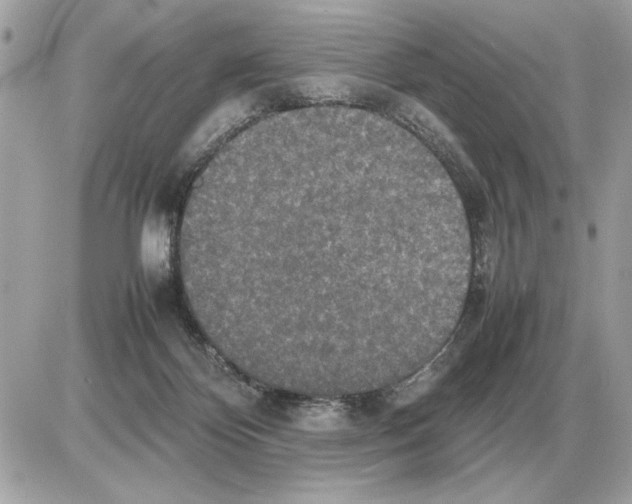 X0000085270124200704092150