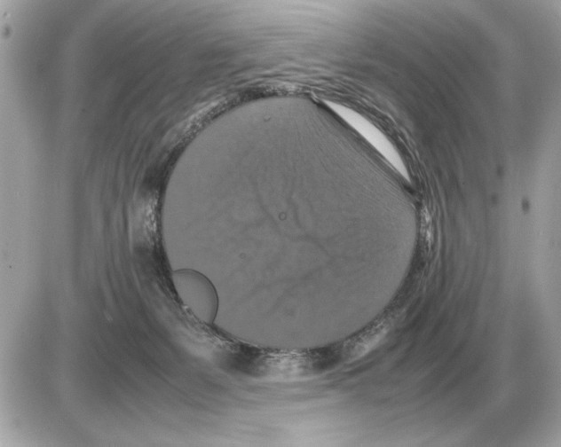 X0000085270127200704092150