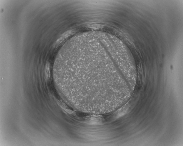 X0000085270128200704092150