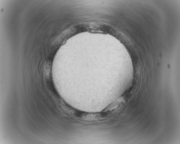 X0000085270129200704092150