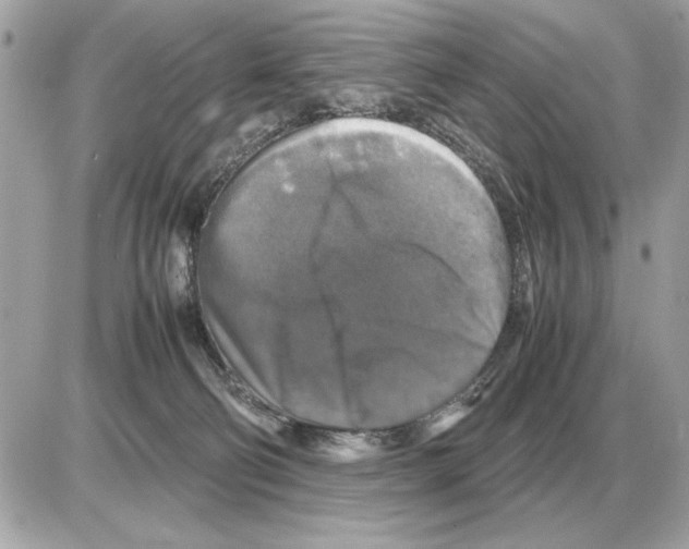 X0000085270130200704092150