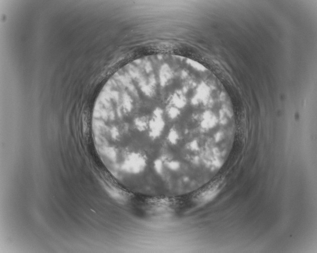 X0000085270131200704092150