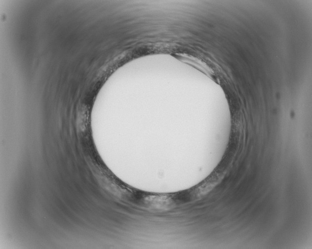 X0000085270133200704092150