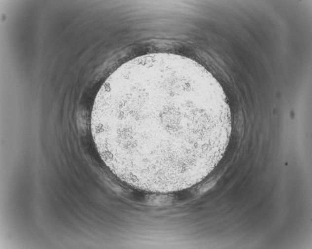 X0000085270135200704092150