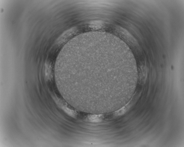 X0000085270136200704092150