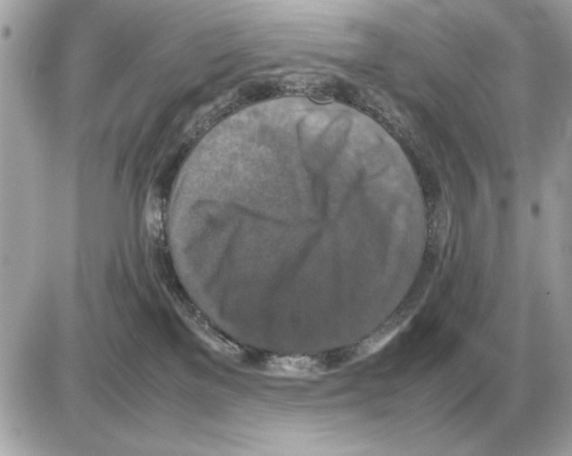 X0000085270137200704092149