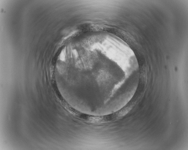 X0000085270139200704092149