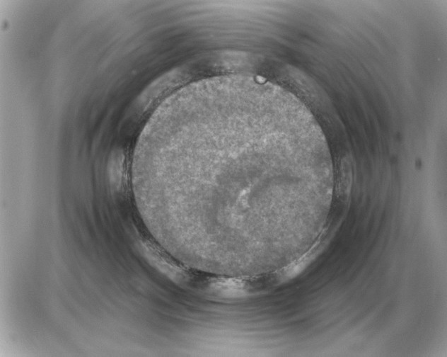 X0000085270140200704092149